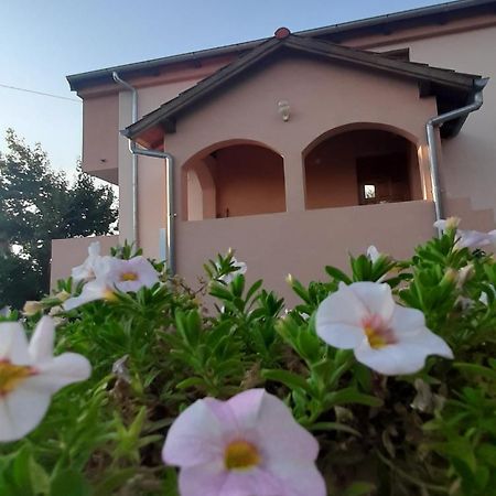 Apartments Cherry Gornji Karin Dış mekan fotoğraf